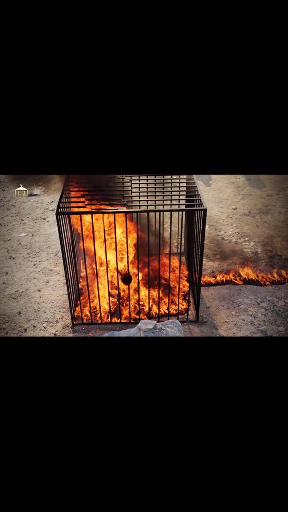 (تصاویر) داعش خلبان اردنی را زنده سوزاند 1