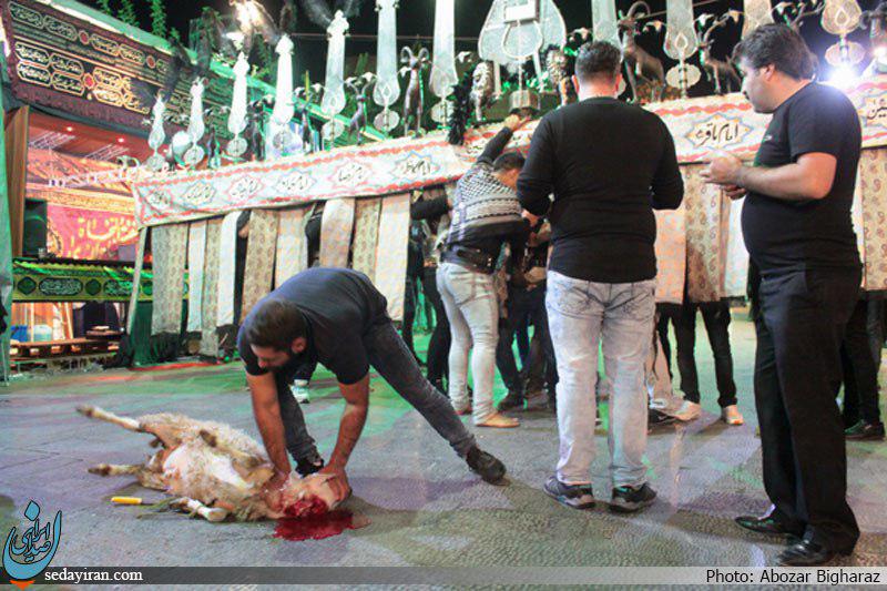 (تصاویر)-هیئت شاهزاده علی اکبر(ع)درپیاده راه17شهریور