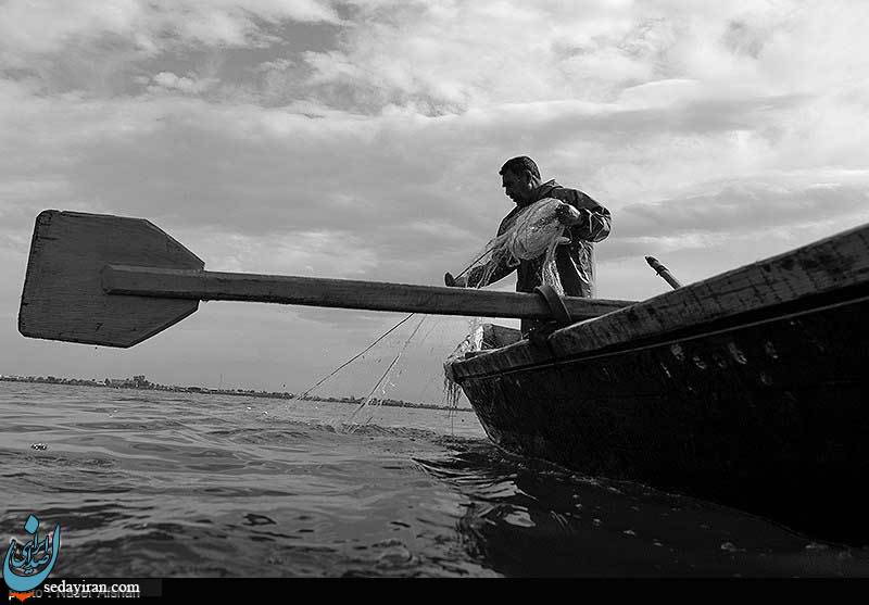(تصاویر) صید ماهی در سواحل دریای خزر