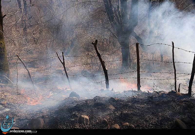 (تصاویر) آتش سوزی در جنگلهای سیاهکل گیلان