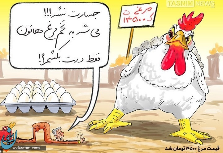کاریکاتور/ گرانی مرغ