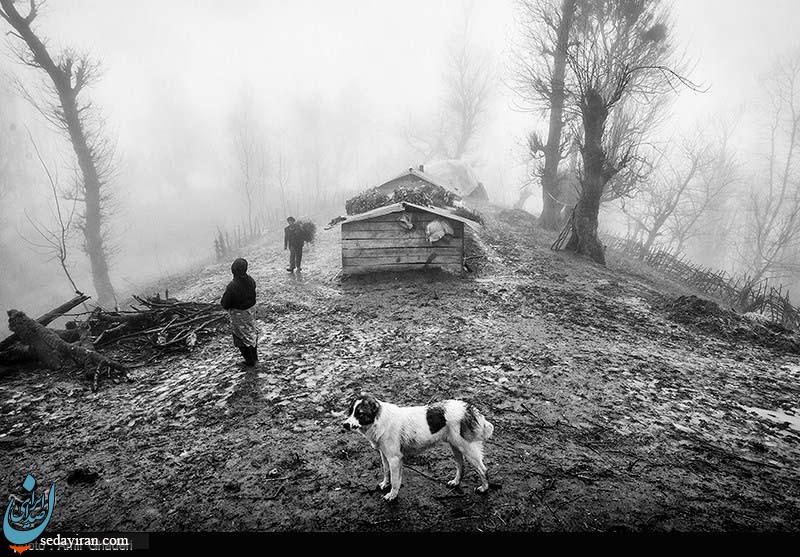 (تصاویر) زندگی ساده در روستای شامیلرزان