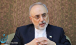 صالحی: غنیسازی را شروع کردیم صالحی: غنیسازی را شروع کردیم