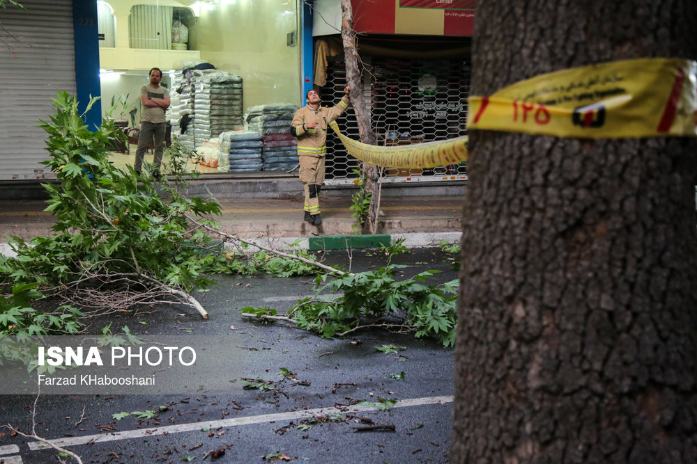 (تصاویر) خسارت طوفان در تهران