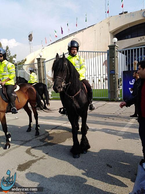 (تصویر) پلیس اسب سوار در ورزشگاه آزادی