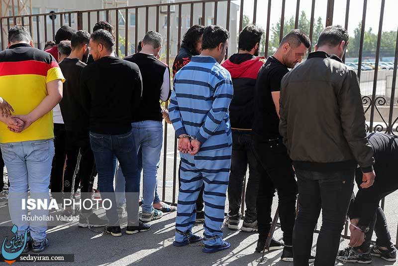 (تصاویر) دستگیری اراذل و اوباش توسط پلیس امنیت تهران