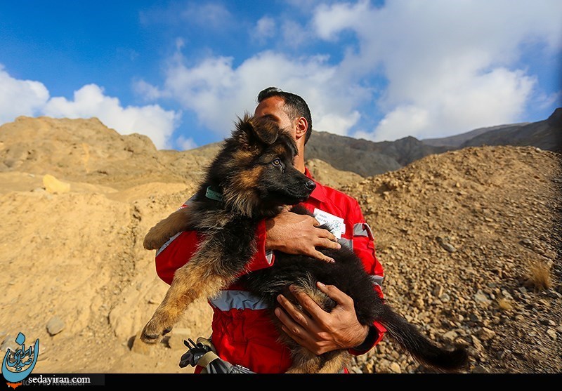 (تصاویر) مانور مشترک سگ‌های آنست ایران و صلیب سرخ آلمان