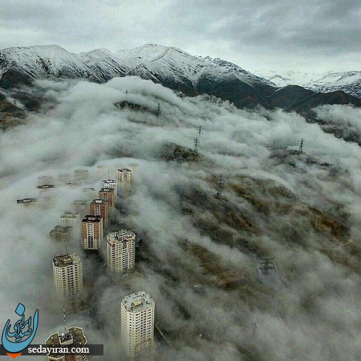 (تصویر) پایتخت در مه
