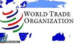 اروپا از عضویت ایران در سازمان تجارت جهانی (WTO) حمایت می کند اروپا از عضویت ایران در سازمان تجارت جهانی (WTO) حمایت می کند