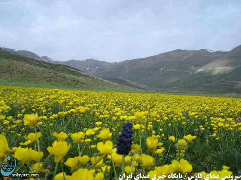 (تصاویر) جاذبه های دیدنی و گردشگری شهرستان لارستان