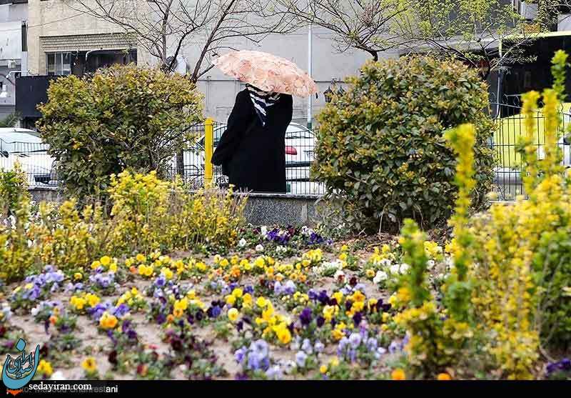 (تصاویر) باران بهاری در تهران