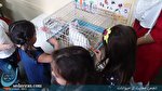 آگاه سازی کودکان در مهد کودکها در حمایت از حیوانات