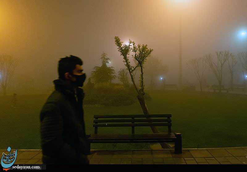 (تصاویر) تهران در مه