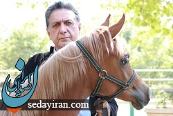 اسب داری صنعتی لاکچری نیست   با سرمایه کم هم میتوان به تولید اسب زیبایی در ایران پرداخت
