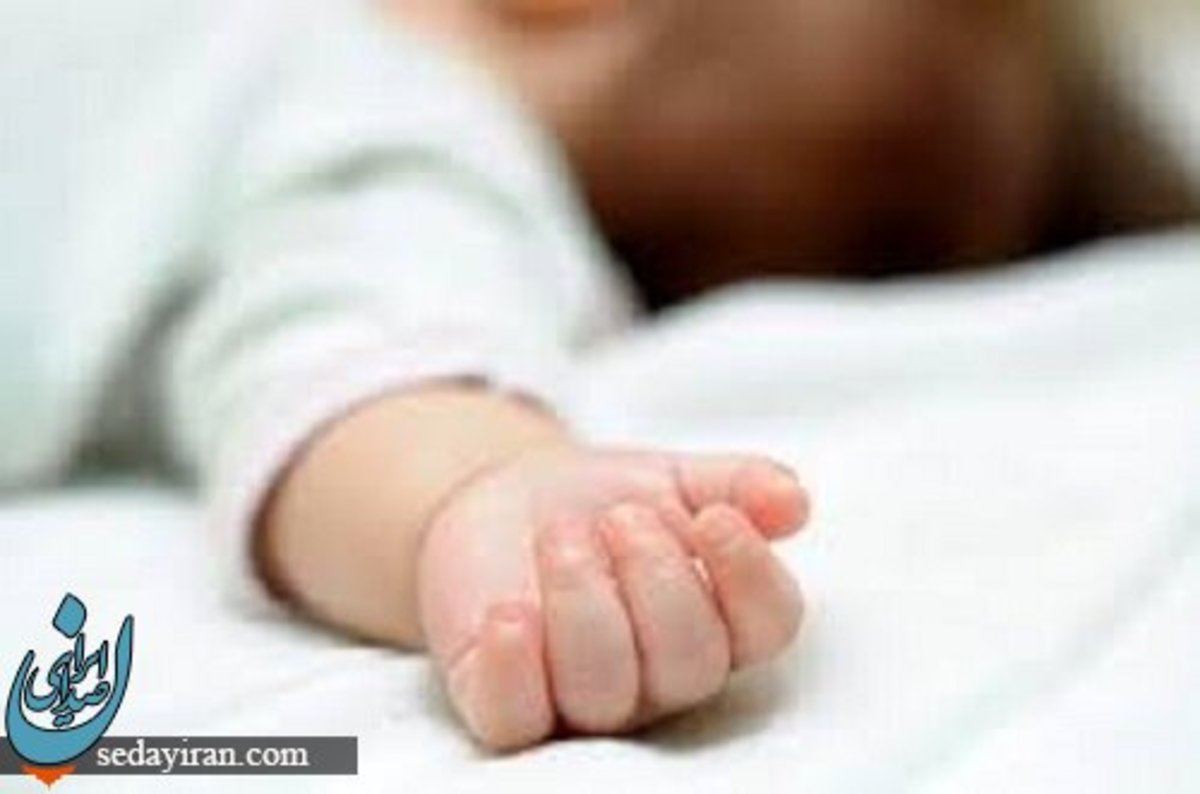 نوزاد رهاشده در استان فارس پیدا شد