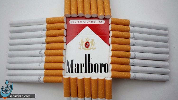 معاون وزیر صمت: شرکت مارلبرو 100 هزار میلیارد تومان فرار مالیاتی داشته/سیگار مارلبرو به صورت قاچاق در کشور عرضه شده