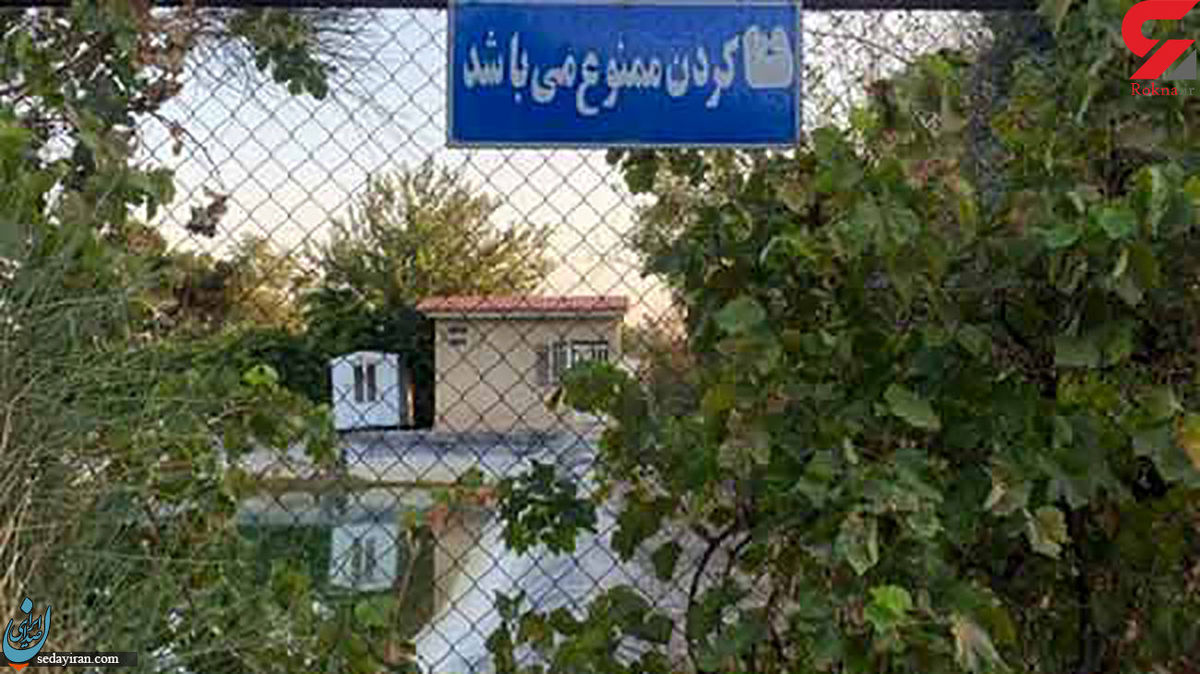 توضیحات شهردار منطقه تهران ۲۱ در باره مرگ ٢ کودک در پارک زیتون   مخزن بوستان تا ارتفاع ۲.۵ متر فنس داشته   پیمانکار مقصر است