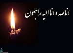 زهرا شجاعی فعال اصلاح طلب درگذشت / تصاویر