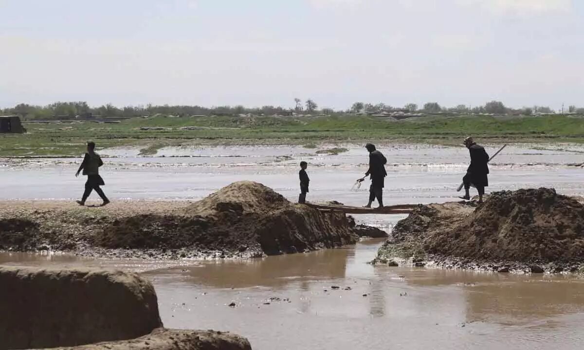 سیل و بارندگی شدید در افغانستان ۱۴ کشته برجای گذاشت