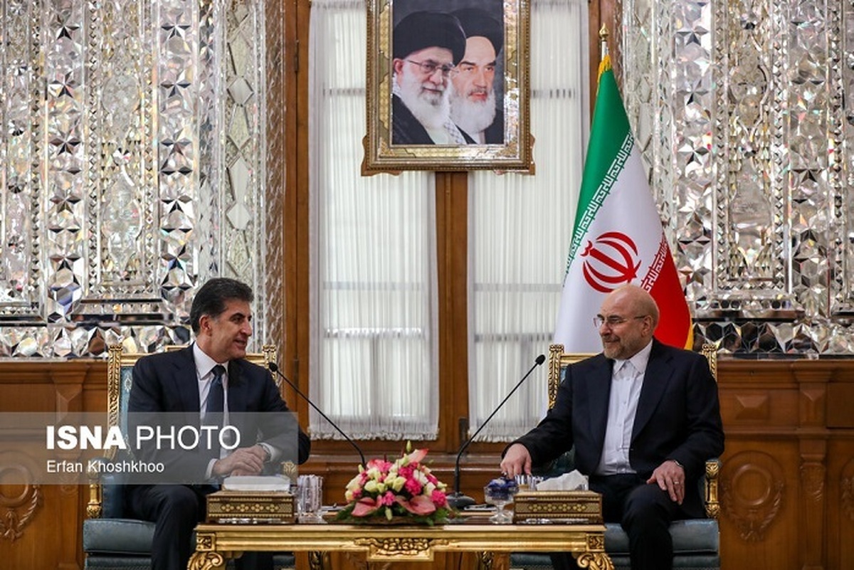 دیدار رئیس اقلیم کردستان عراق با رئیس مجلس شورای اسلامی (عکس)
