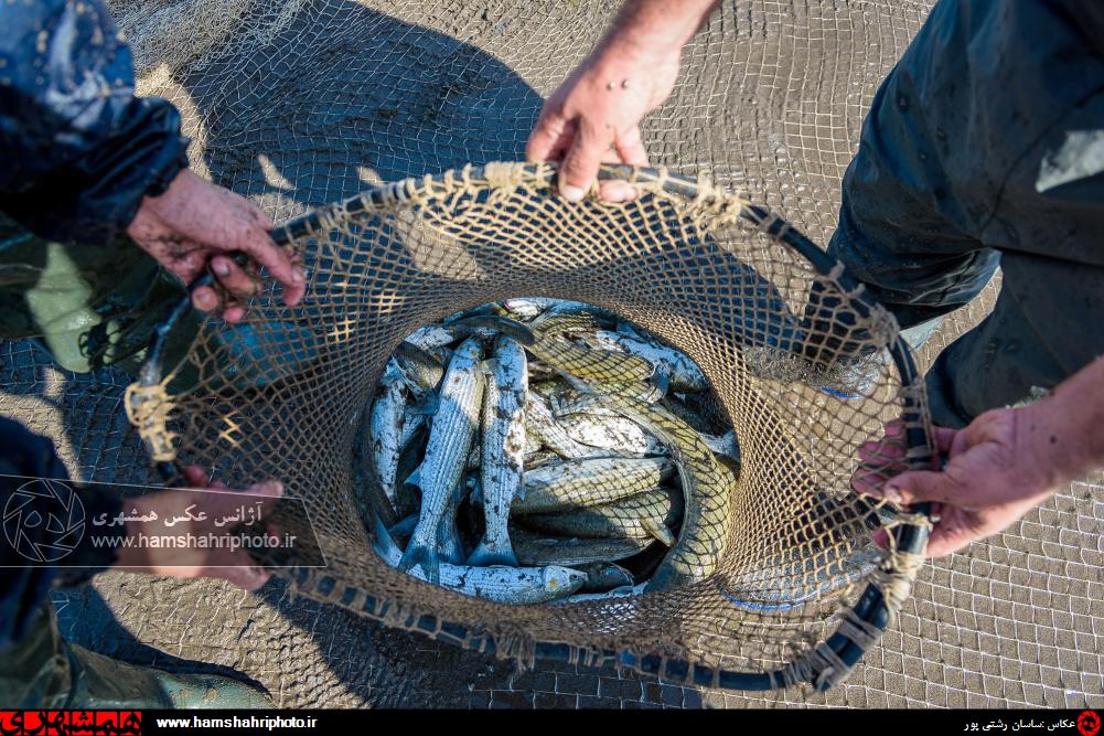 (تصاویر)-آغاز فصل صید ماهیان استخوانی در دریای خزر