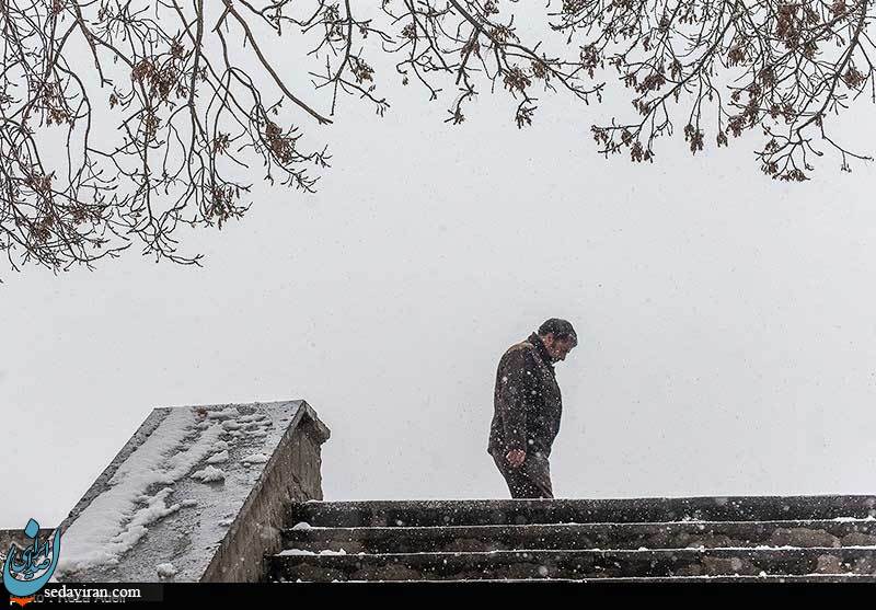(تصاویر) بارش برف در تبریز