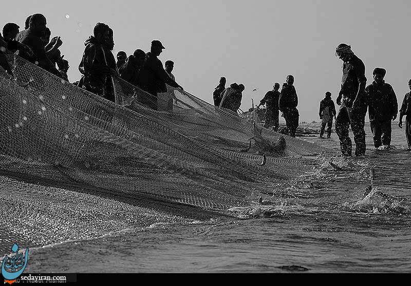 (تصاویر) صید ماهی در سواحل دریای خزر