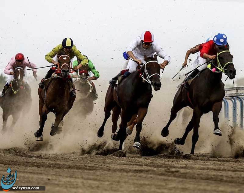 جشنواره اسب‌های ۸ شهرستان جنوب کشور در بیرم لارستان برگزار می‌شود