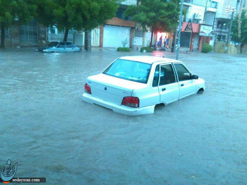 (تصویر) وضعیت خیابانهای بوشهر پس از بارش شدید باران