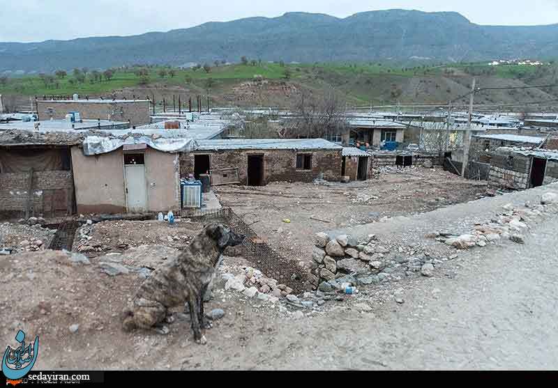 (تصاویر) تخریب خانه ها بر اثر جاری شدن سیل در منطقه شاهیوند خرم آباد