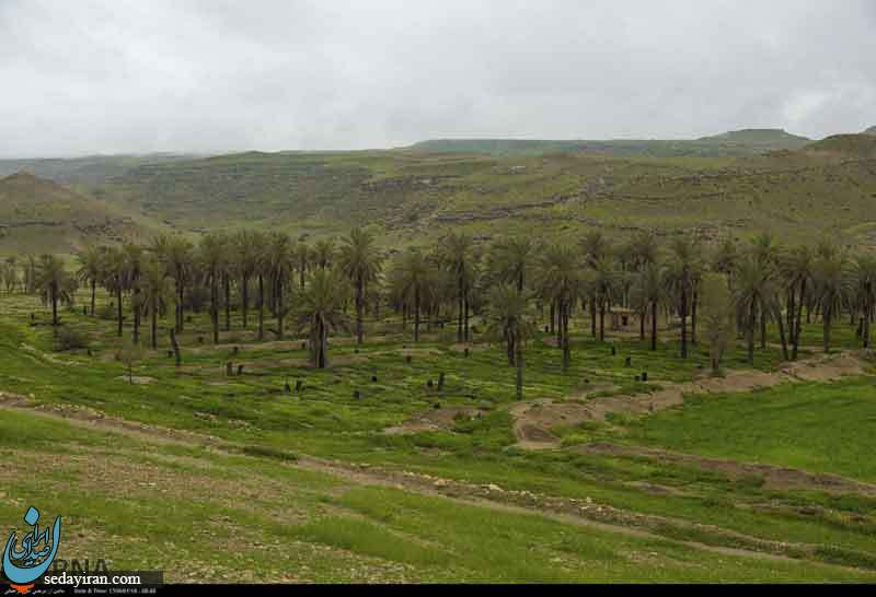 (تصاویر) طبیعت زیبای دشت کاریان