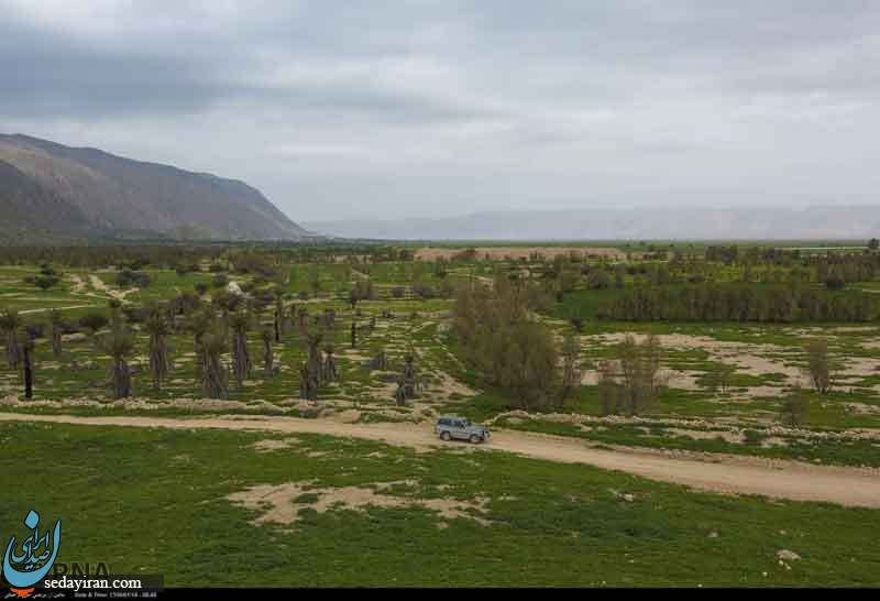 (تصاویر) طبیعت زیبای دشت کاریان