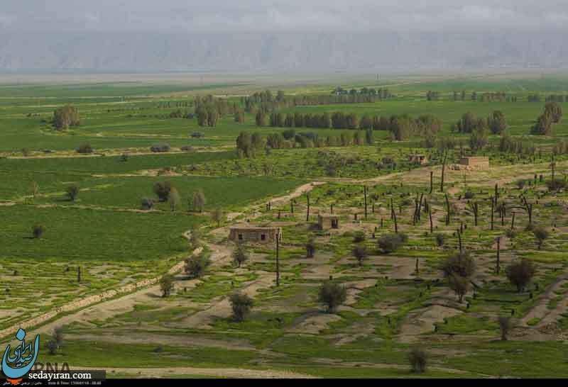 (تصاویر) طبیعت زیبای دشت کاریان