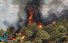 مهار آتش سوزی بعد از گذشت 20 ساعت در جنگلهای رود ارس