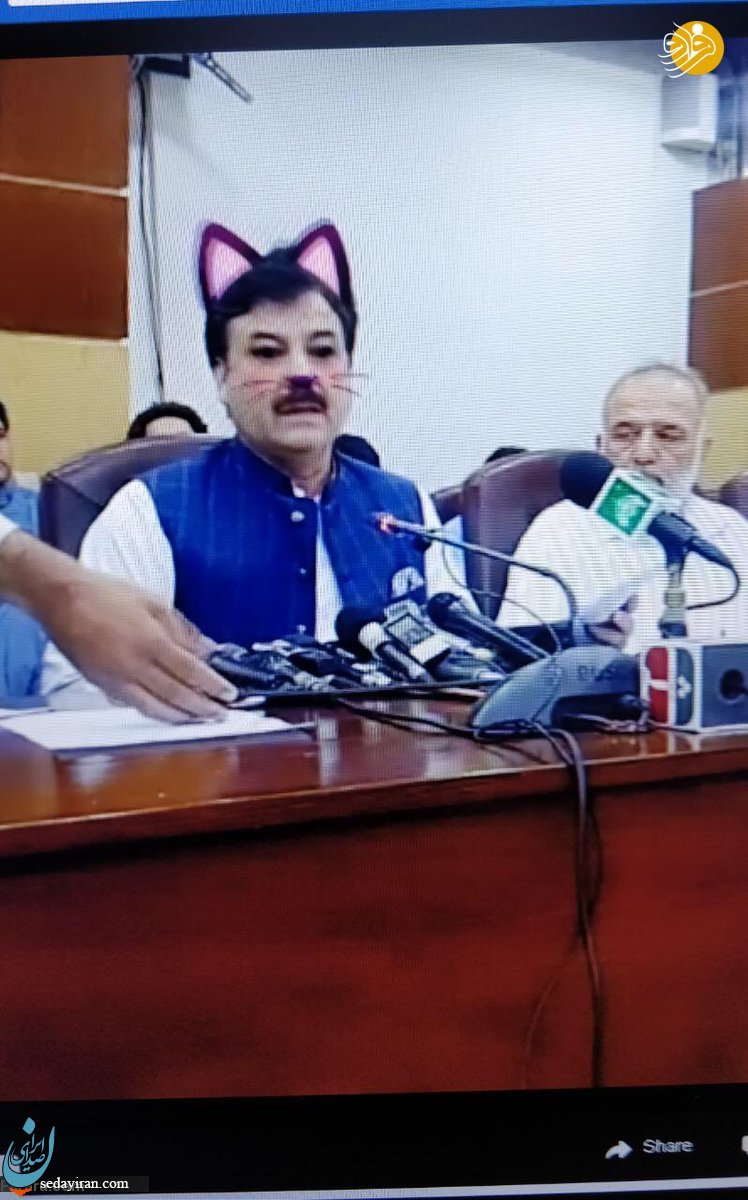 (تصویر)وقتی وزیر پاکستانی گربه می شود