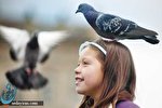 پت درمانی برای کاهش علائم بیماری کودکان اتیسم پت درمانی برای کاهش علائم بیماری کودکان اتیسم