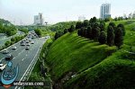 جای خالی هتل های سبز در شهر سبز جای خالی هتل های سبز در شهر سبز