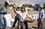 شناسایی ۱۰۰ روستای بدون بیکار در کشور