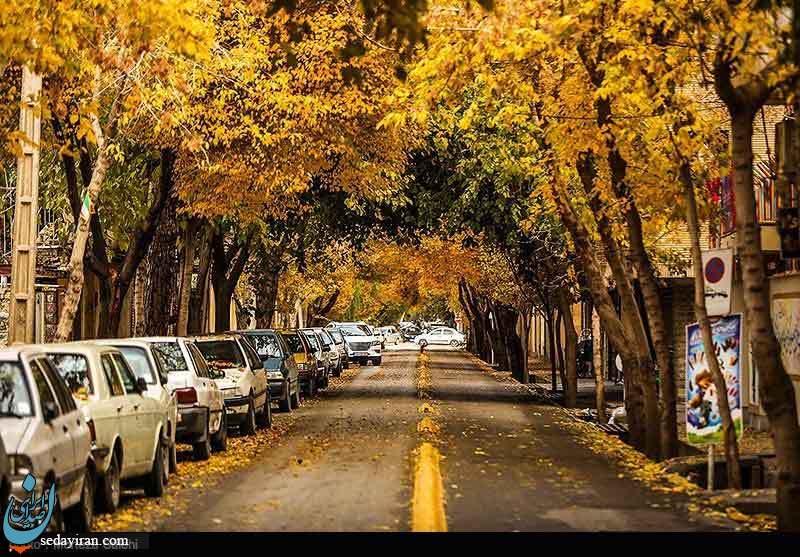 (تصاویر) پاییز در چهار باغ اصفهان (تصاویر) پاییز در چهار باغ اصفهان