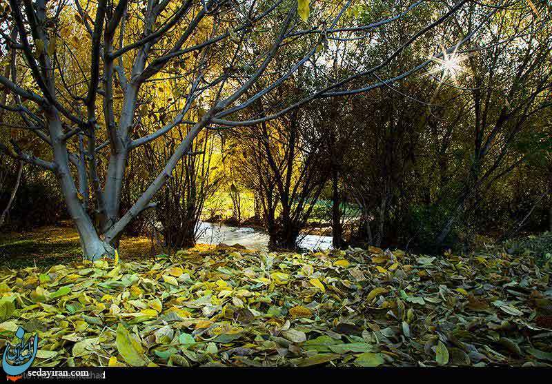 (تصاویر) طبیعت پاییزی شهر الشتر - لرستان