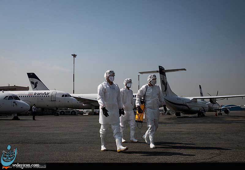 (تصاویر) ضدعفونی هواپیماهای ایران ایر