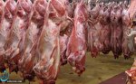 چه عواملی باعث کاهش قیمت گوشت قرمز شد؟/ارزان شدن 20 هزار تومانی گوشت قرمز