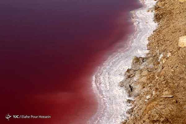 دریاچه نمک قم سرخ شد+عکس