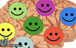 راهکارهایی برای شاد کردن مغز
