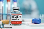 صدور مجوز اضطراری برای واکسن کرونا پیش از پایان آزمایش‌ها