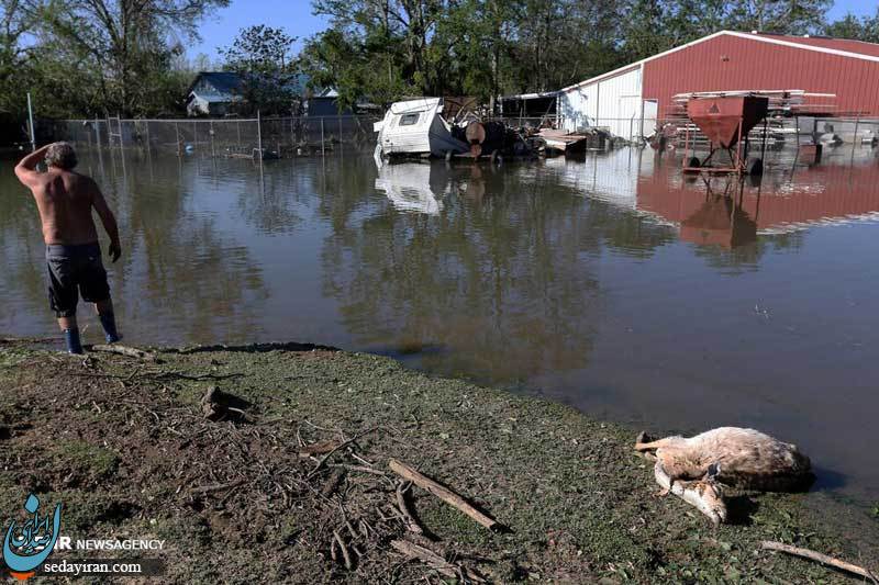 (تصاویر) خسارات طوفان دلتا در ایالت لوئیزیانا آمریکا