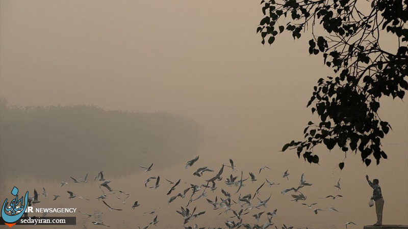 (تصاویر) آلودگی شدید هوا در هند