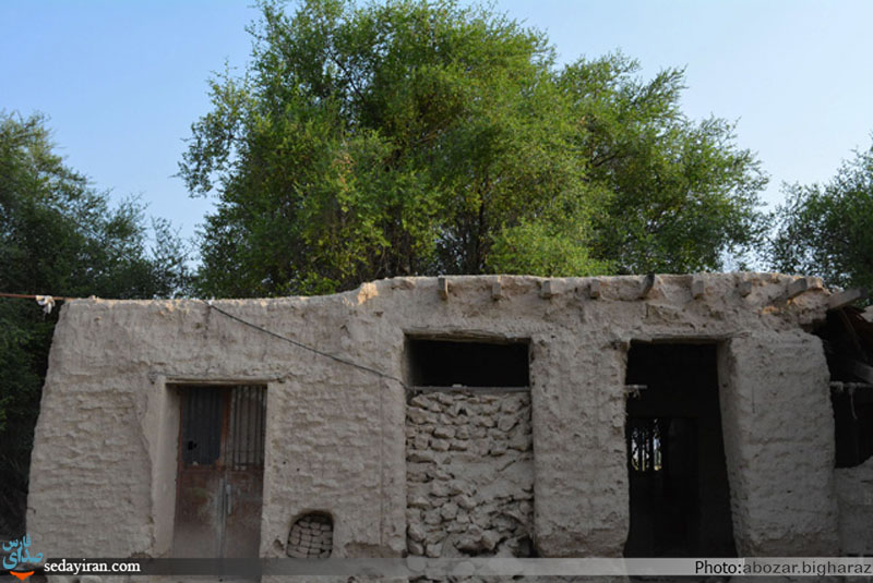 (تصاویر) نگاهی به روستای محروم و دور افتاده درز و سایبان/ در این سرای بی کسی، کسی به در نمی زند
