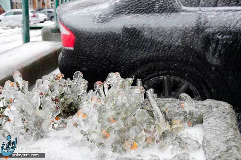 (تصاویر) شرق روسیه یخ زد