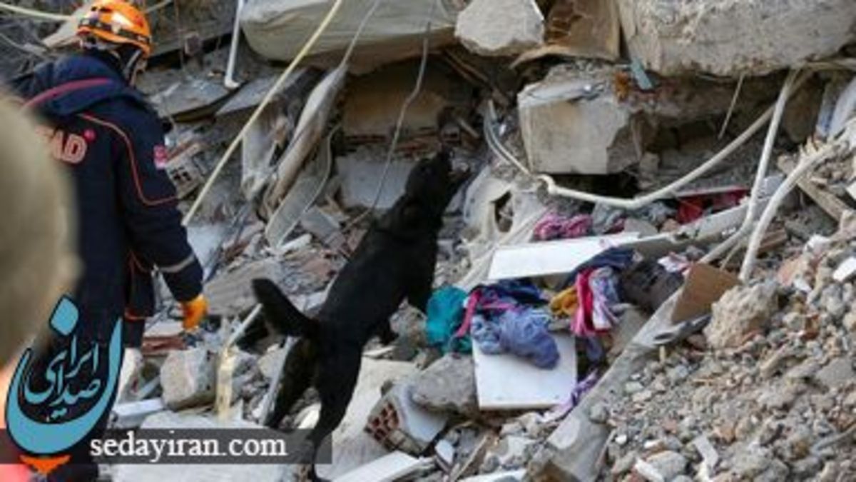 افزایش قربانیان زلزله ترکیه به 8600 تن   اعلام وضعیت اضطراری در 10 مناطق زلزله‌زده